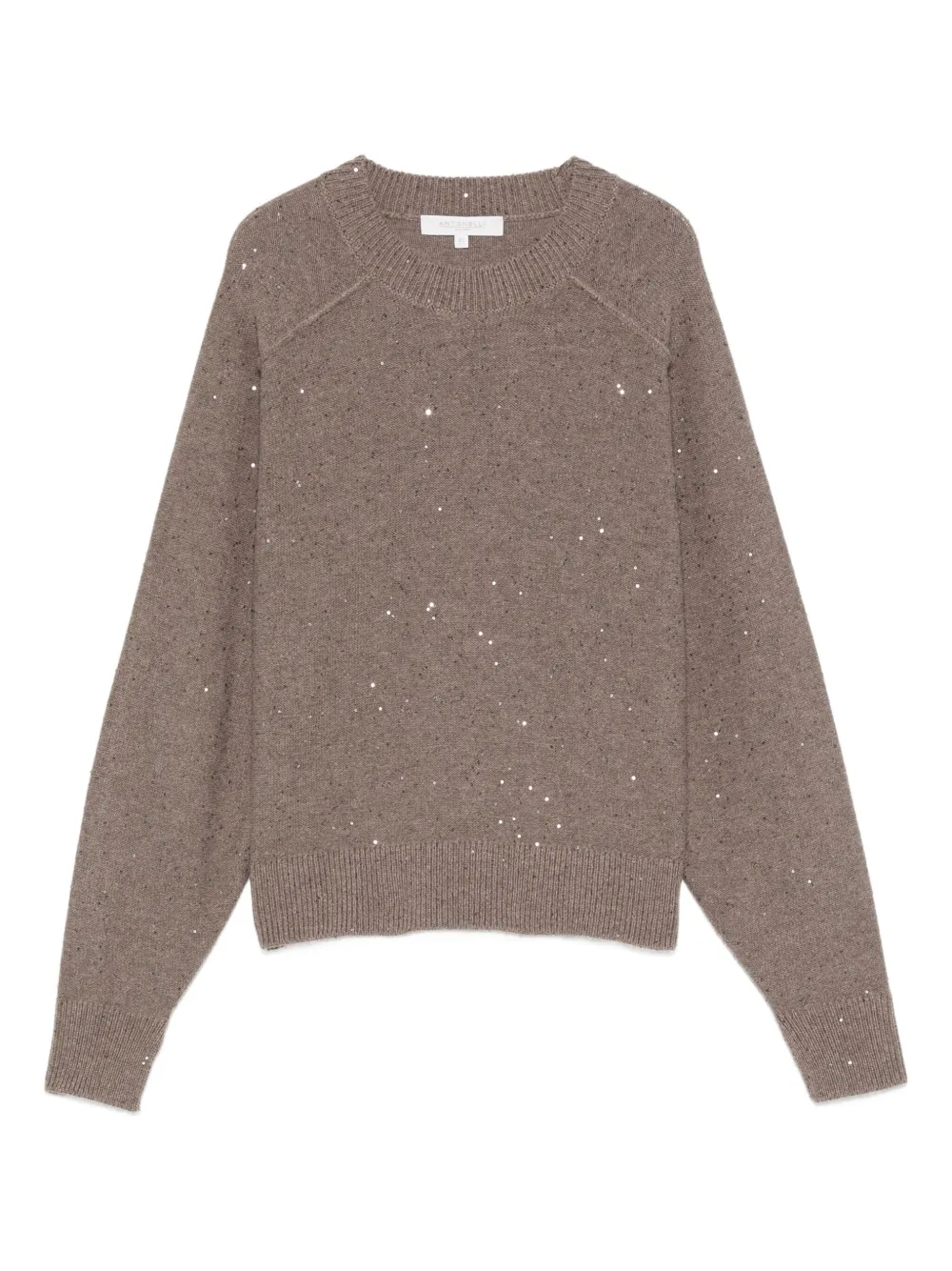 Antonelli sequin-embellished crew-neck sweater Bruin