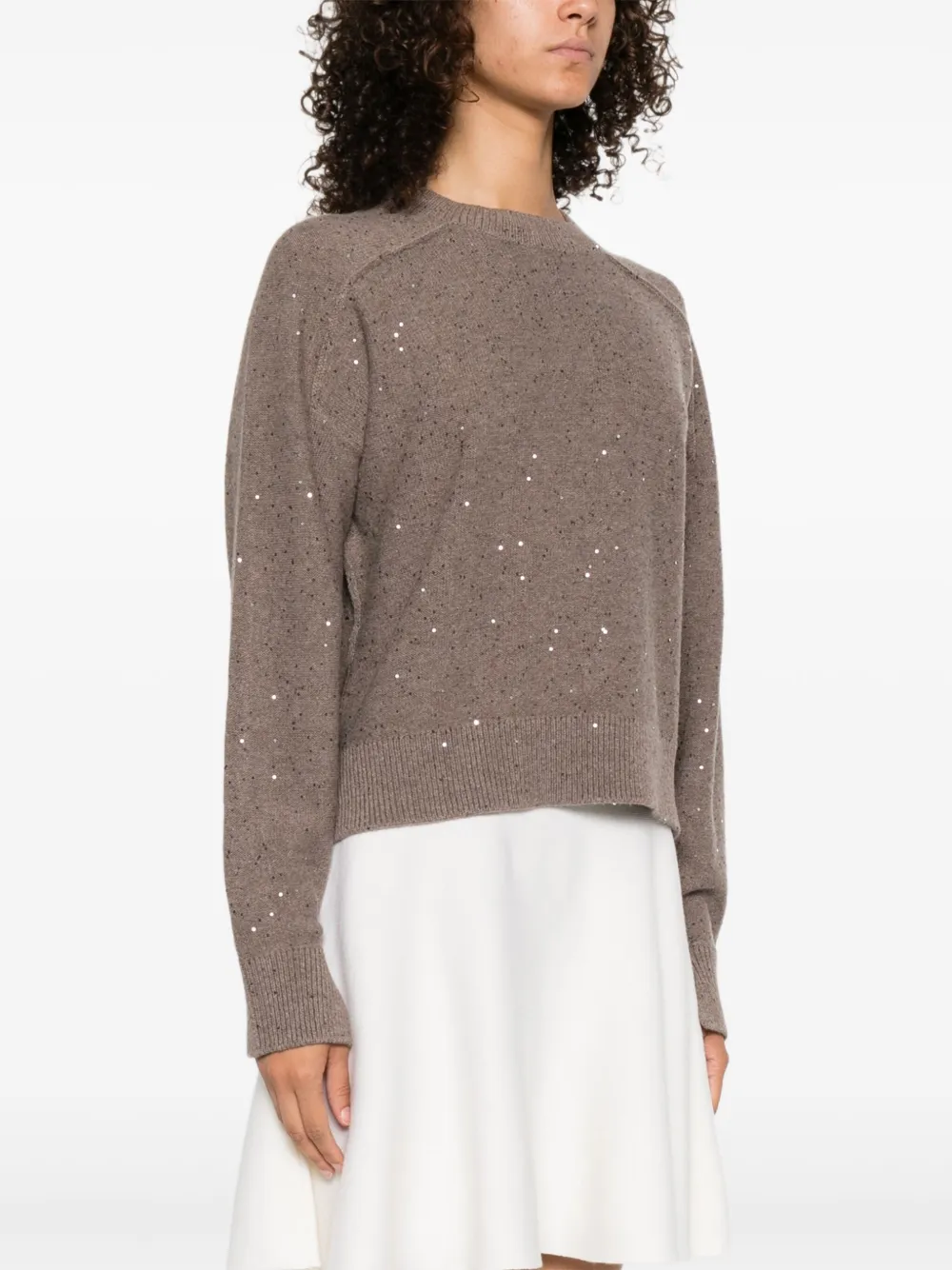 Antonelli Sweater met pailletten en ronde hals Bruin