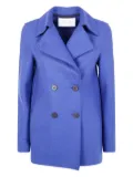 Harris Wharf London double-breasted wool coat - Blue