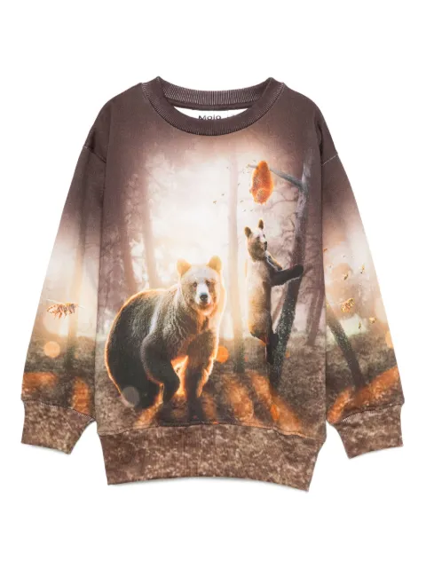 Molo sudadera con oso estampado