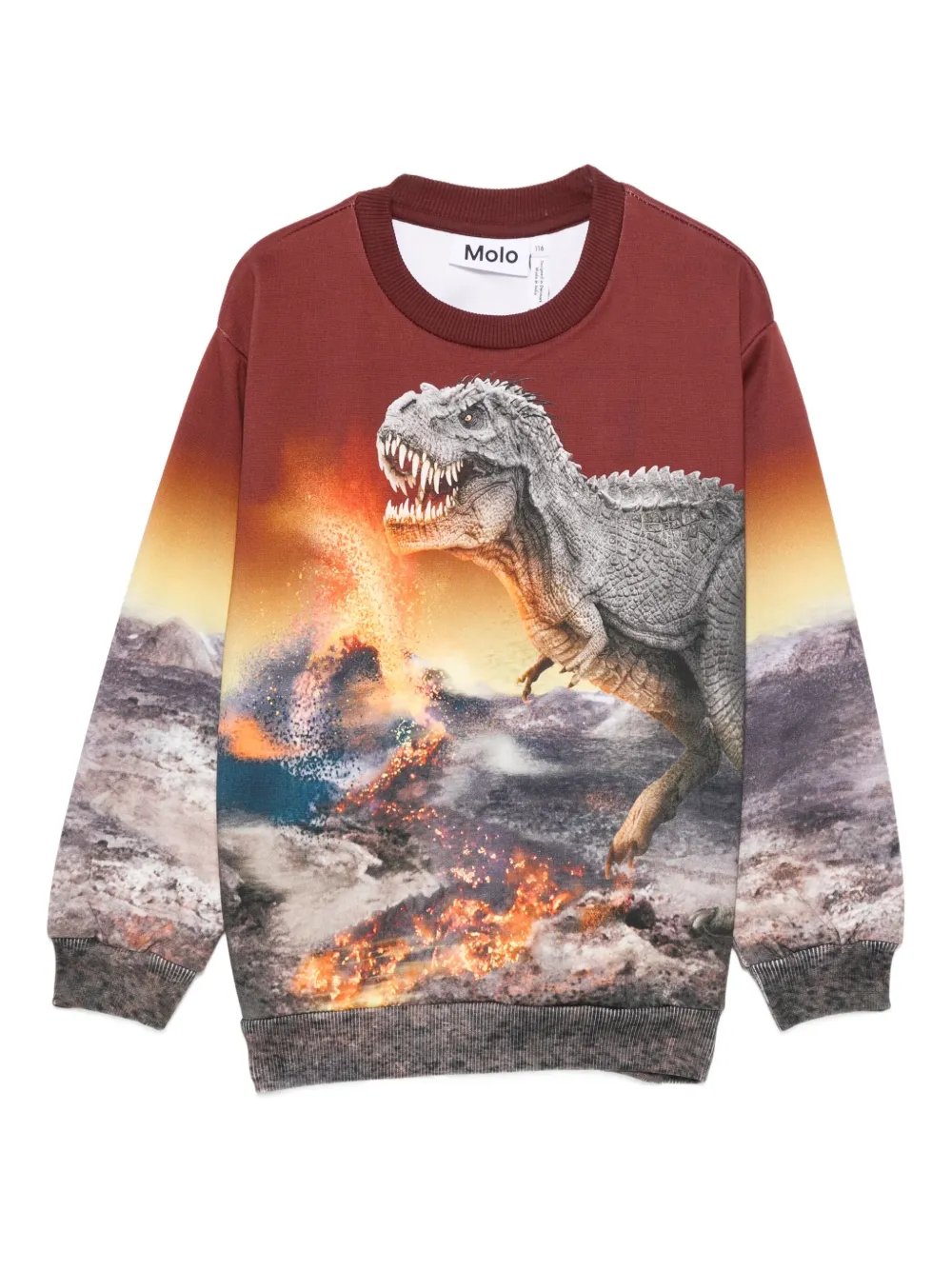 Molo T-shirt met dinosaurusprint Bruin