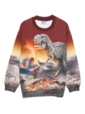 Molo dinosaur-print sweatshirt - Brown