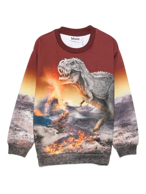 Molo sudadera con dinosaurios estampados