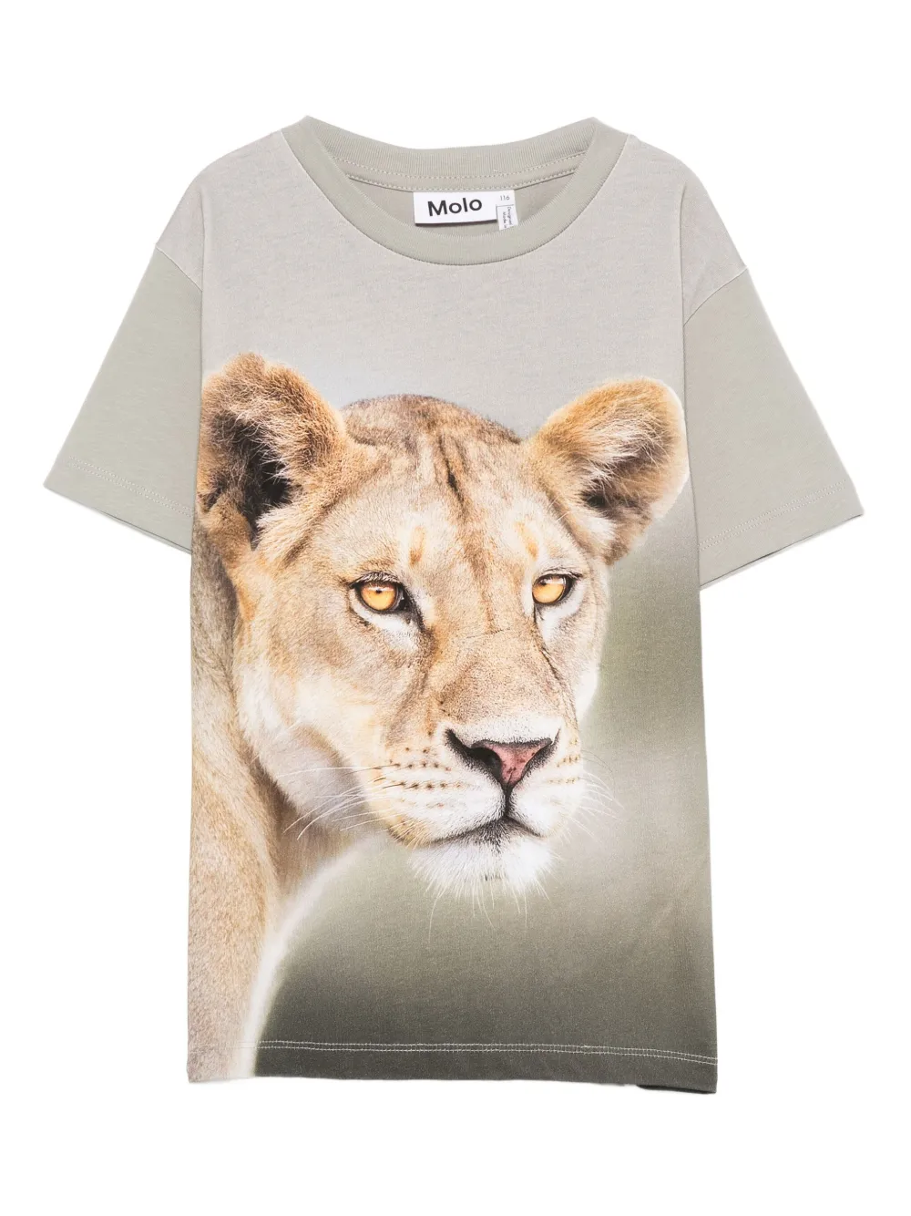 Molo lion-print cotton T-shirt Groen