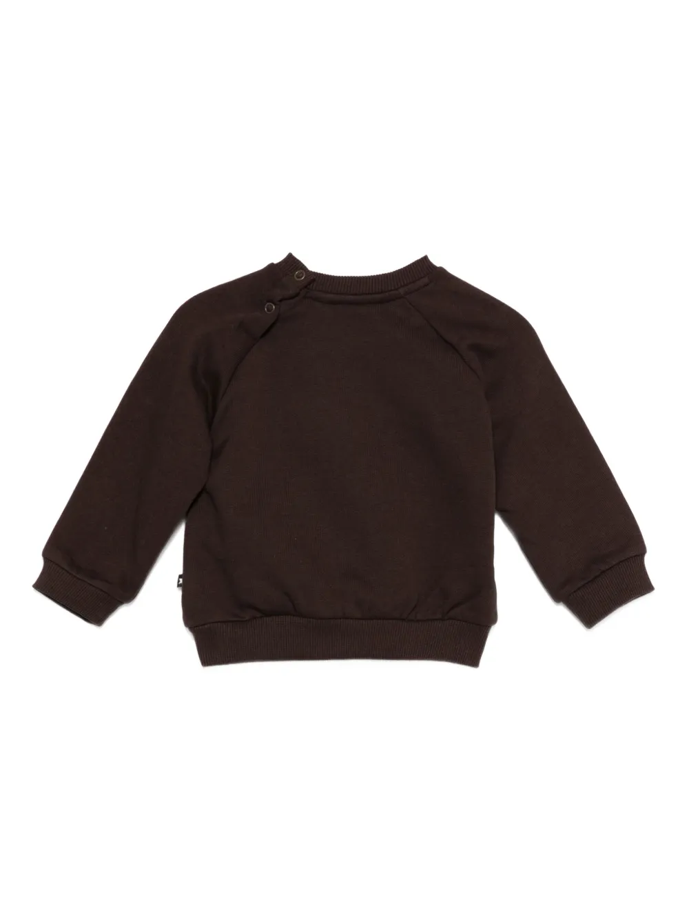 Molo Sweater met geborduurde teddybeer Bruin