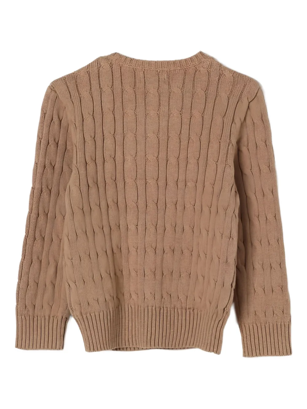 Polo Ralph Lauren Cable-knit Crew-neck Sweater In Brown