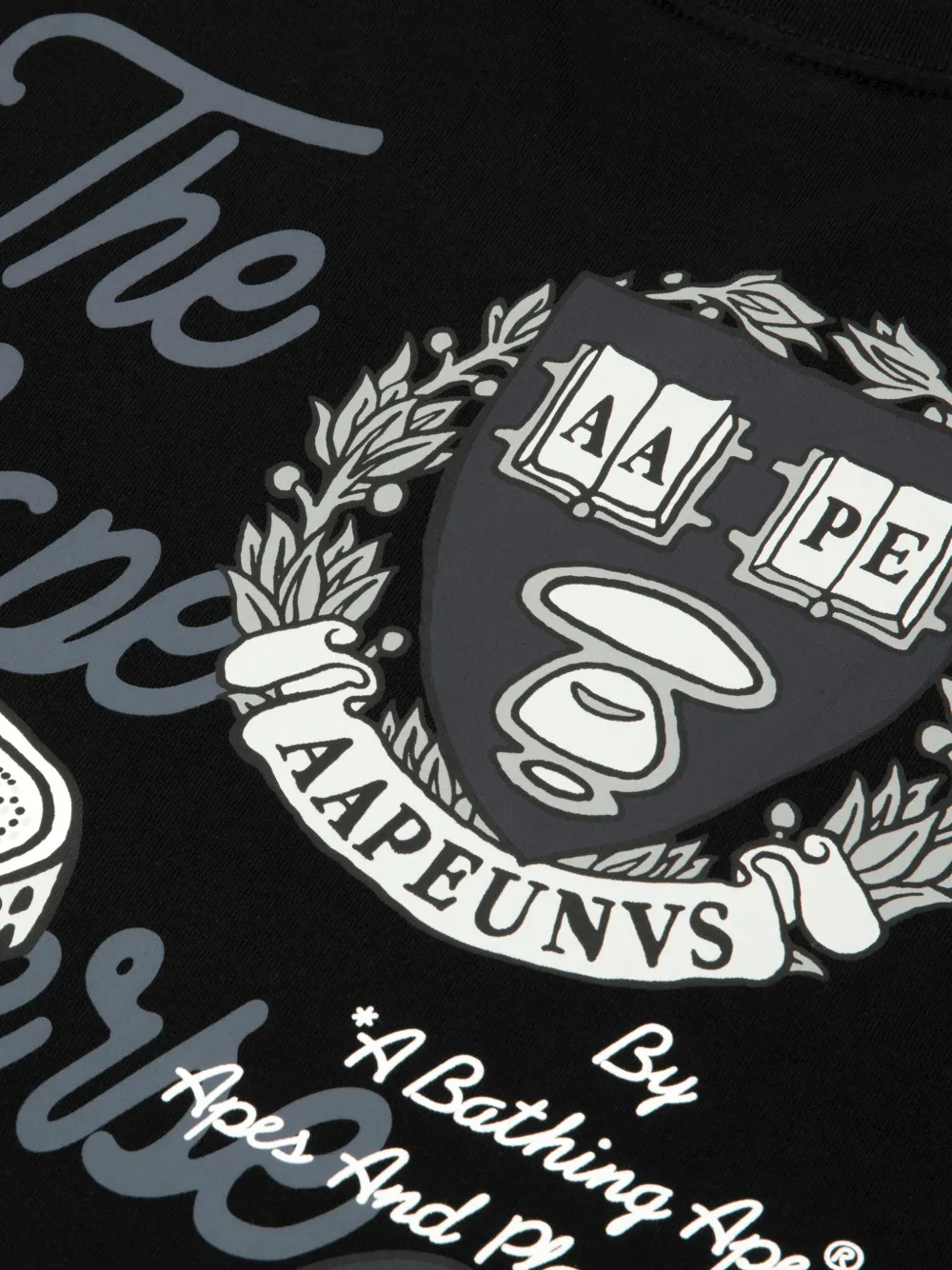 AAPE BY *A BATHING APE Cape University T-shirt Zwart