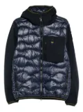 Blauer quilted hooded jacket - Blue