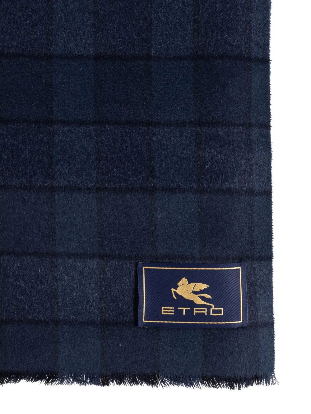 ETRO checked wool-cashmere blend scarf - Blauw