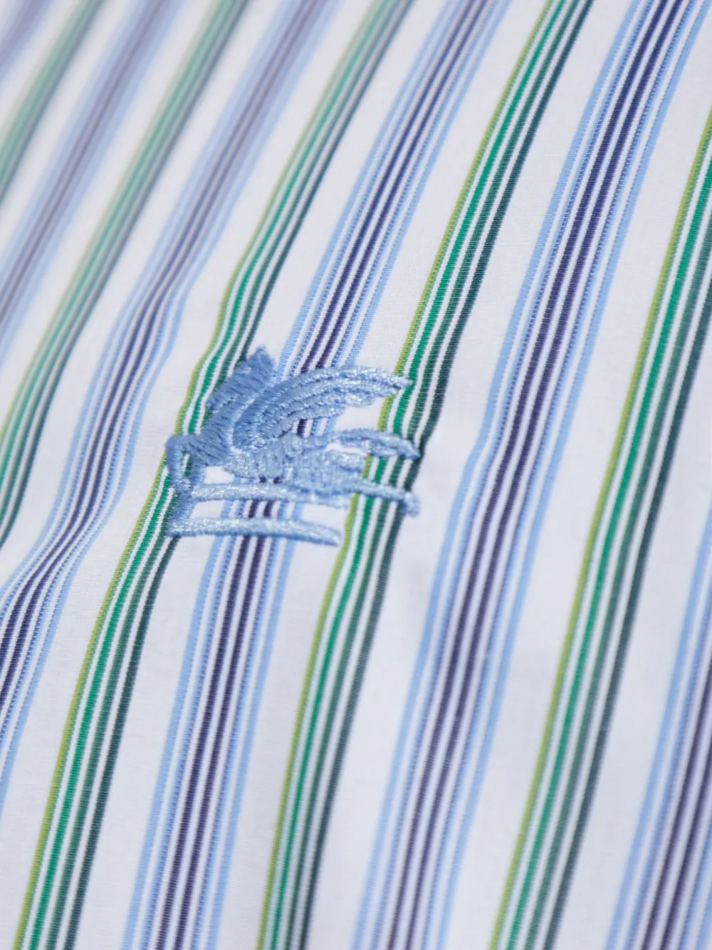 ETRO embroidered striped shirt Blauw
