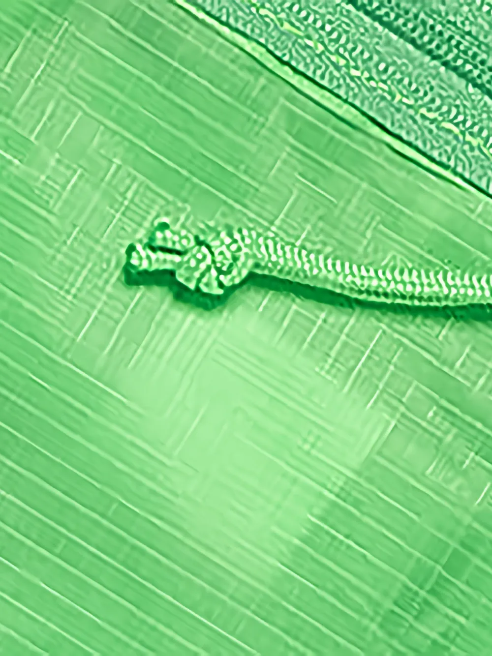 Human Made Logo-print Tote Bag In Green