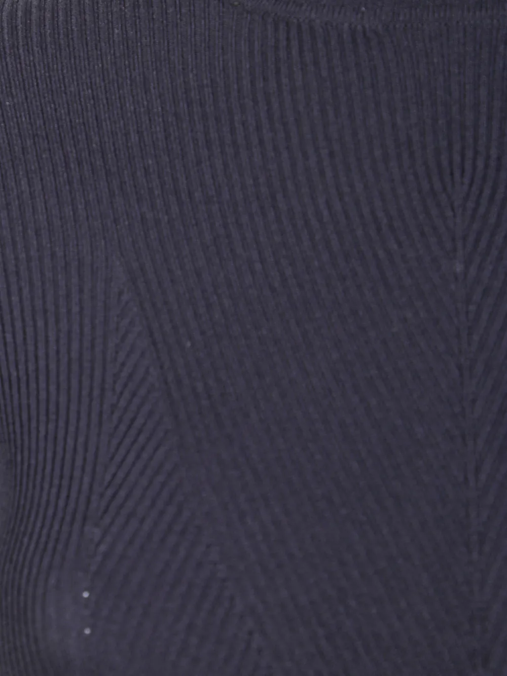 Elisabetta Franchi ribbed turtleneck midi dress Blauw