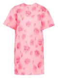 MSGM rose-print t-shirt dress - Pink