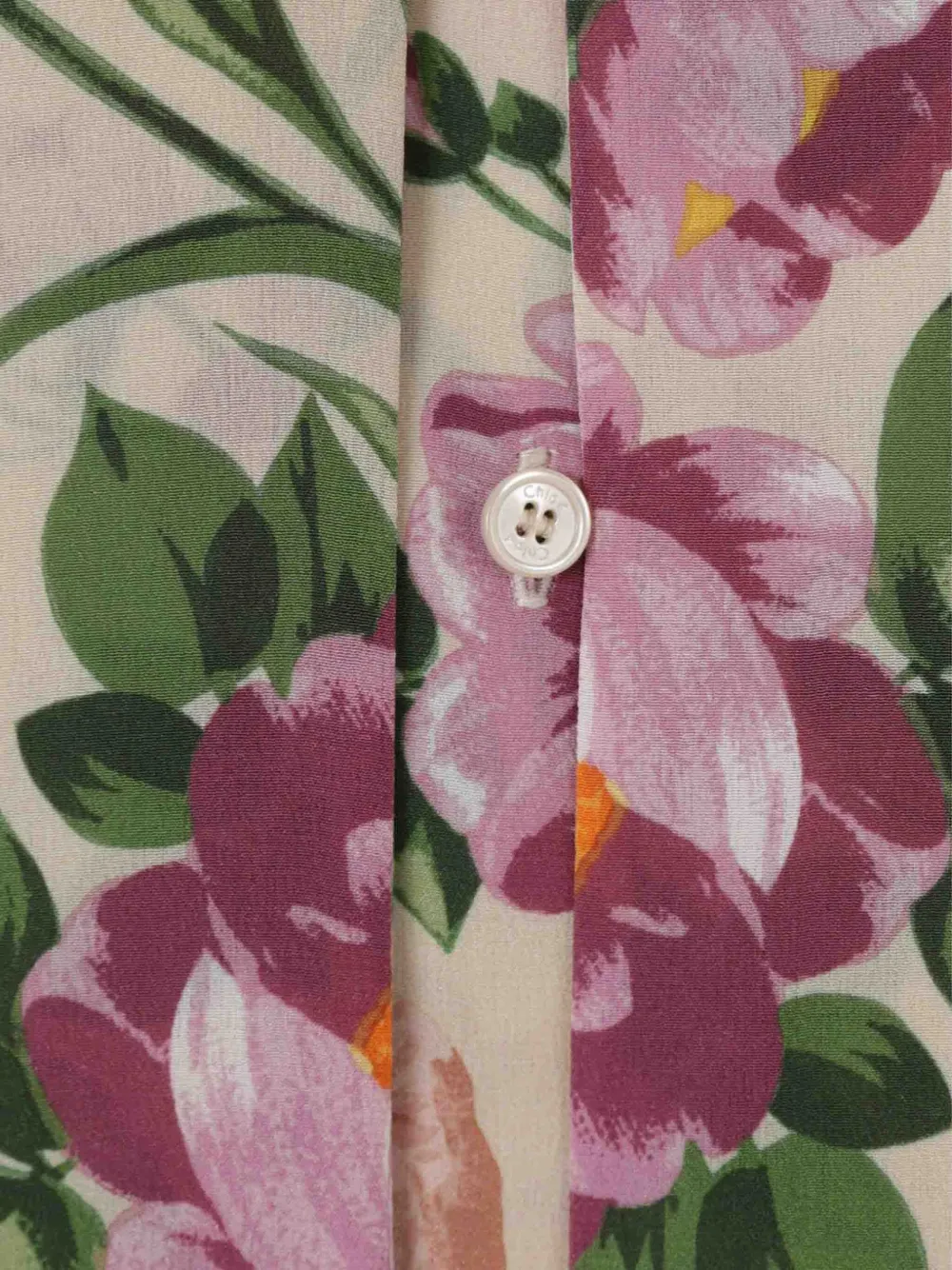 Chloé Floral-print Tie-neck Blouse In Multi