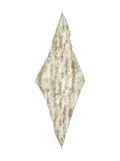 Bimba y Lola snake-print scarf - Neutrals