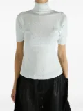 Issey Miyake textured roll-neck knitwear - Green