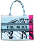 Christian Dior Pre-Owned 2022 Medium Embroidered Canvas Zebra D Jungle Pop Book tote bag - Blue