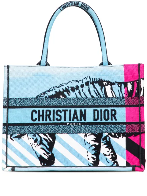Christian Dior Pre-Owned 2022 Medium Embroidered Canvas Zebra D Jungle Pop Book tote bag