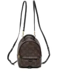 Louis Vuitton Pre-Owned 2018 Monogram Mini Palm Springs backpack - Brown