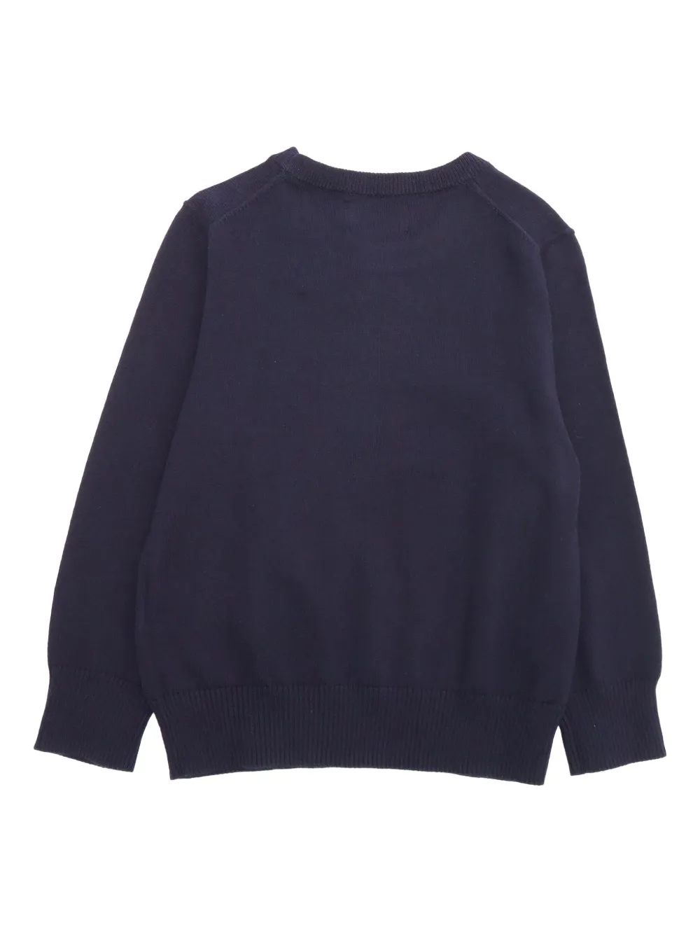 POLO RALPH LAUREN KIDS Katoenen sweater met borduurwerk Blauw