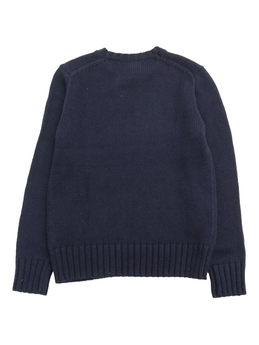 POLO RALPH LAUREN KIDS Katoenen trui met vlag intarsia Blauw