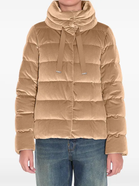 Herno velvet padded jacket