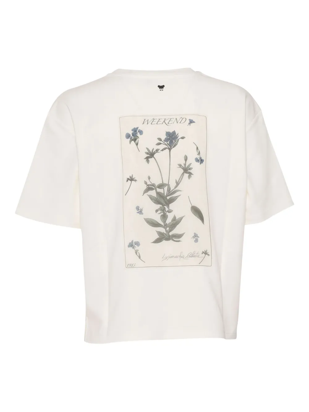 Weekend Max Mara Floral-print Cotton T-shirt In White