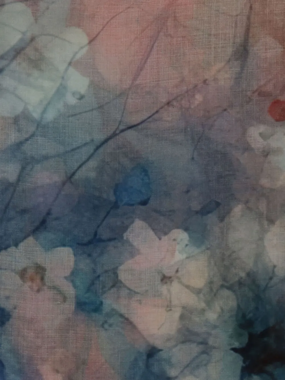 D'aniello Perla sjaal met bloemenprint - Blauw
