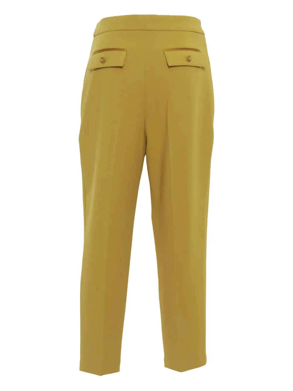 Elisabetta Franchi Geplooide pantalon - Geel