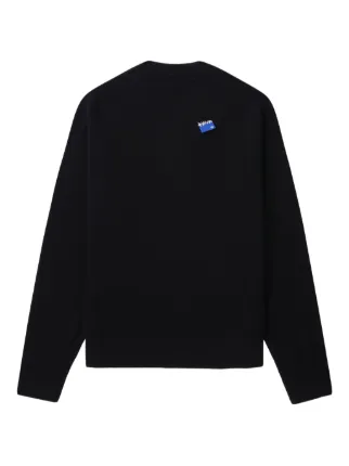 Ader Error