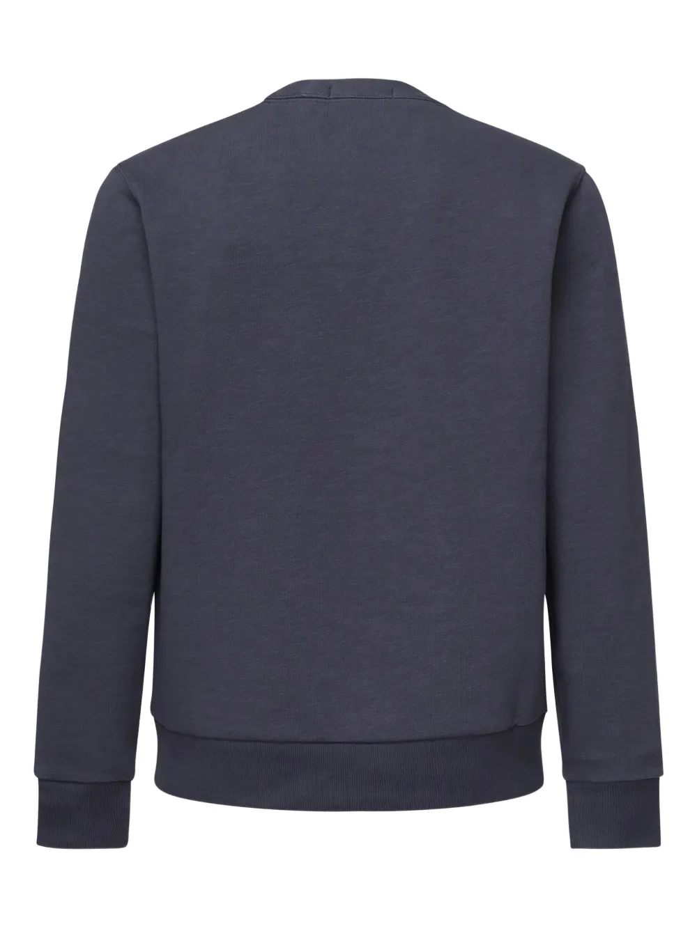 Polo Ralph Lauren Vest met geborduurde beer Blauw