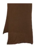 Botto Giuseppe cashmere-blend scarf - Brown