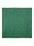 ETRO paisley jacquard shawl - Green