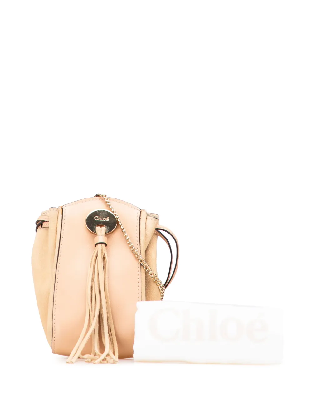 Chloé Pre-Owned 2000-2025 ミニ レザー＆スエード サック