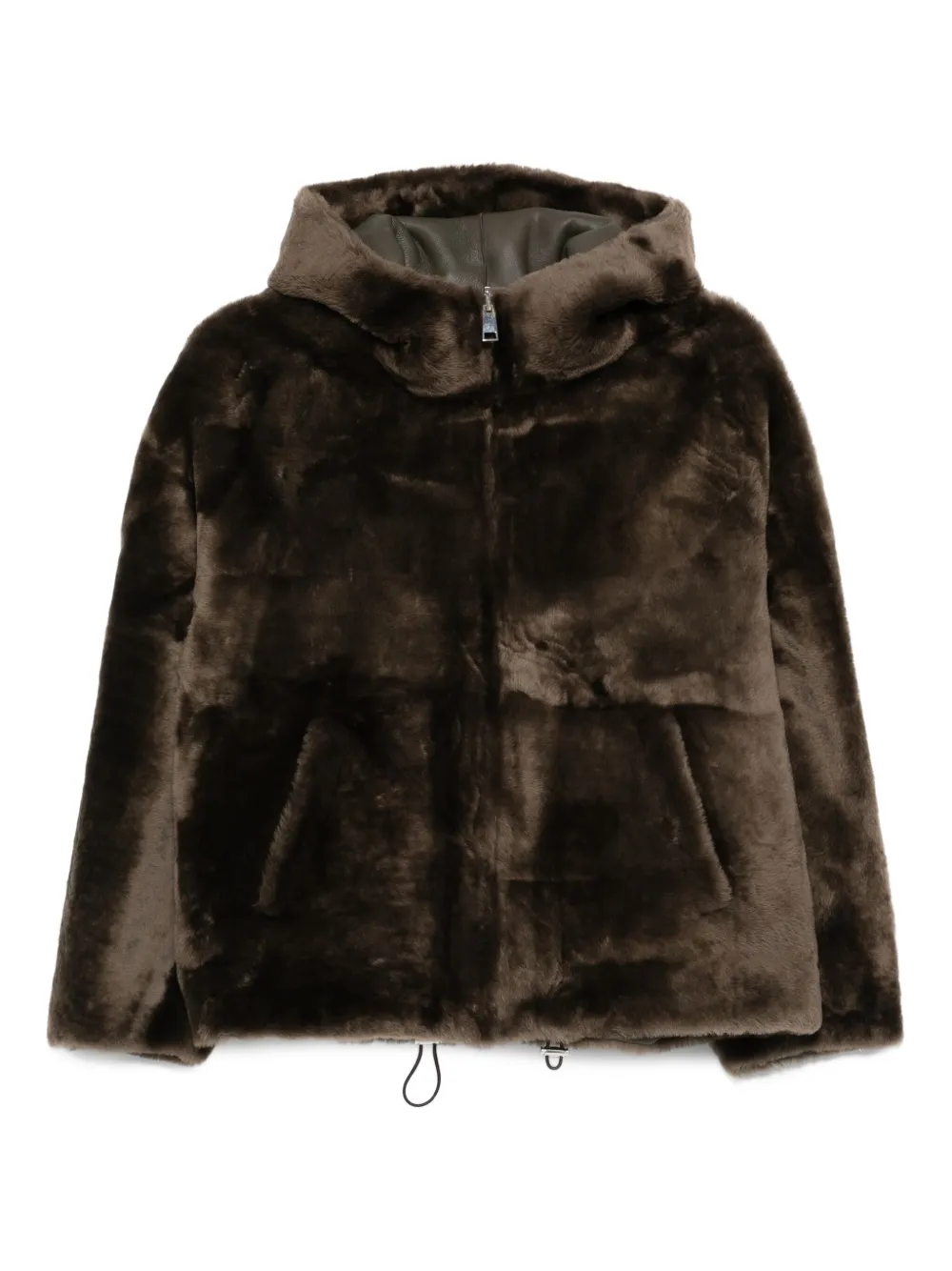 Blancha Lammy jack Bruin