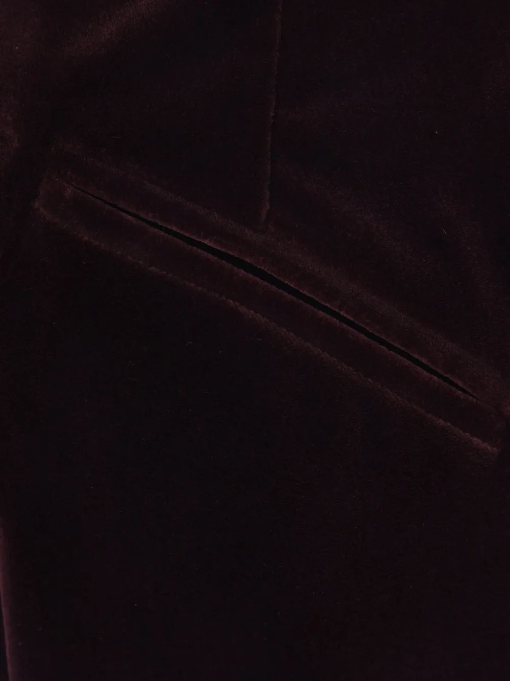 Federica Tosi Pantalone Tasche A Filetto Velluto Pontoglio Trousers Bordeaux In Red