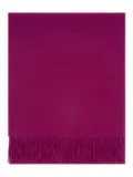 Eric Bompard fringed monogram scarf - Purple