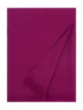 Eric Bompard fringed voile scarf - Purple