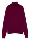 Eric Bompard roll-neck cashmere sweater - Purple