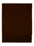 Eric Bompard fringed-hem scarf - Brown