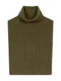 Eric Bompard roll-neck cashmere bib - Green
