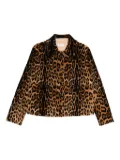 P.A.R.O.S.H. leopard-print leather jacket - Brown