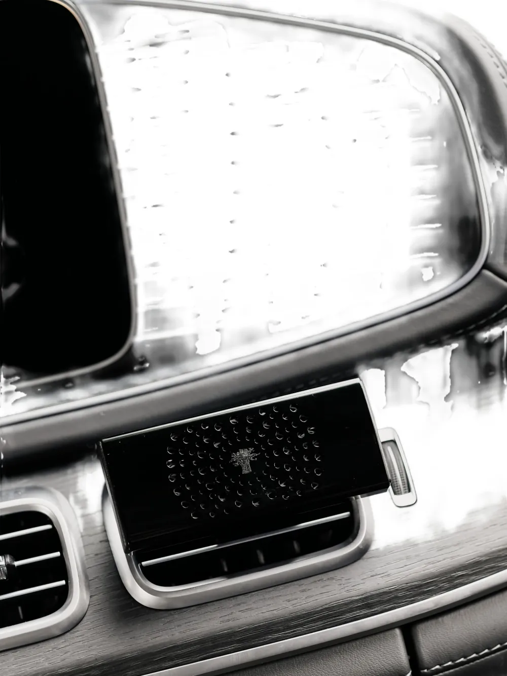 Baobab Perforated Car Diffuser In Black