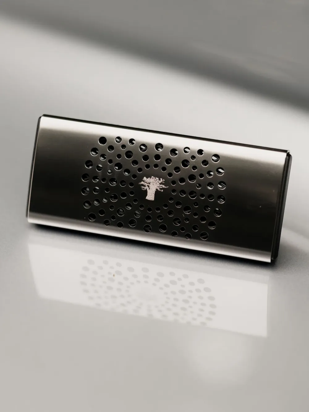 Baobab Perforated Car Diffuser In Black