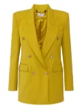 Elisabetta Franchi double-breasted blazer - Yellow