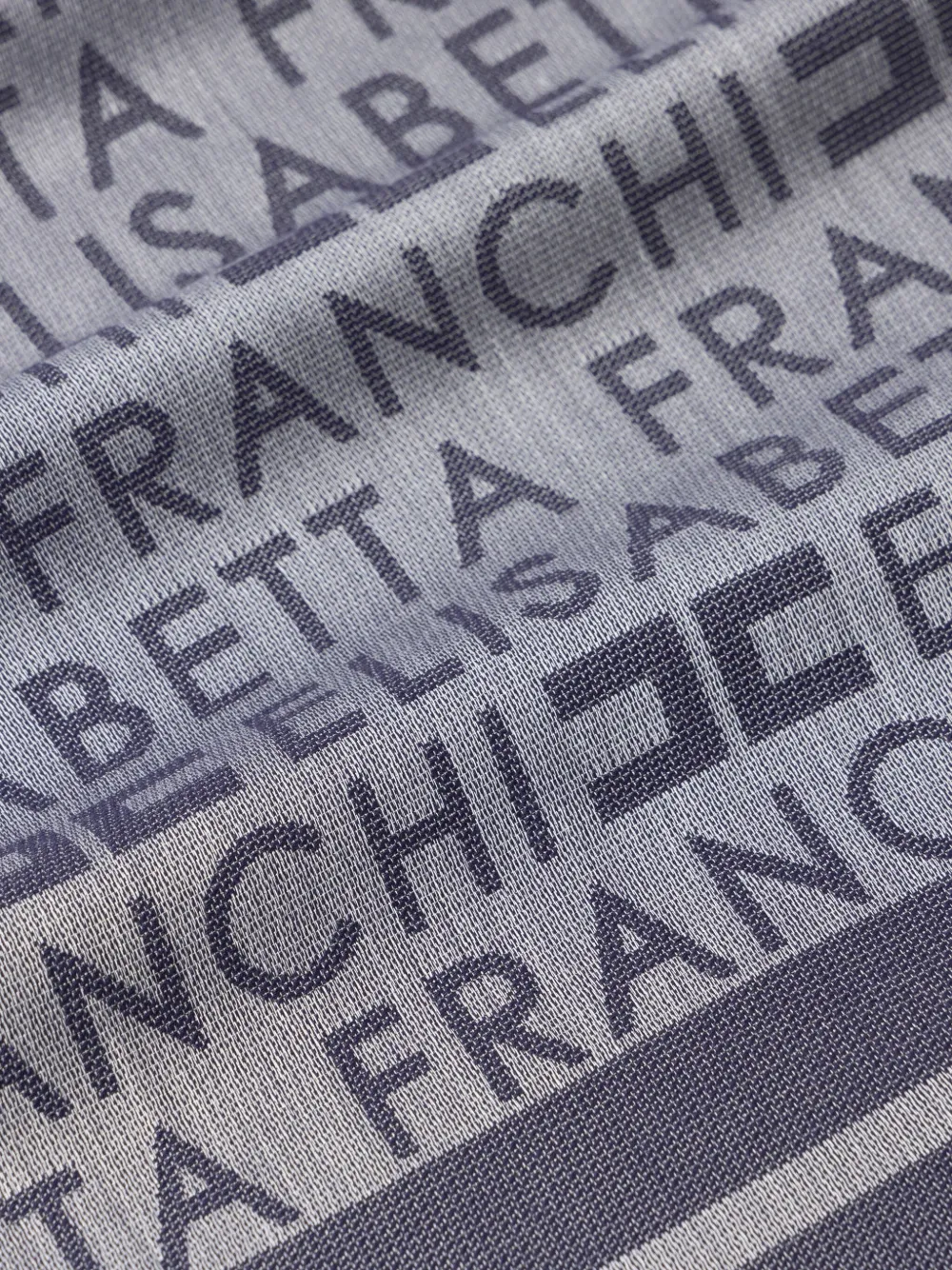Elisabetta Franchi Pashmina jacquard scarf Blauw