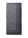 Elisabetta Franchi Pashmina jacquard scarf - Blue