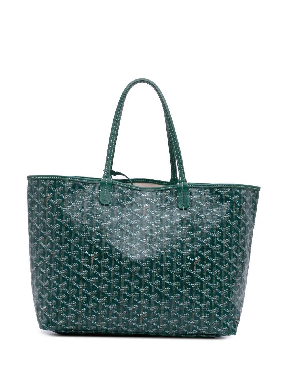 Goyard Pre-Owned 2019 Goyardine Saint Louis PM tote bag | Green | Image 1