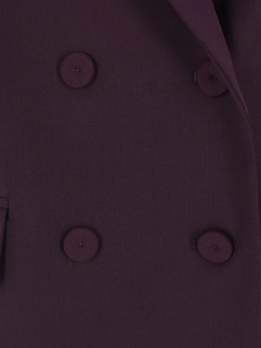 Federica Tosi Frescolana Double-breasted Jacket In Purple