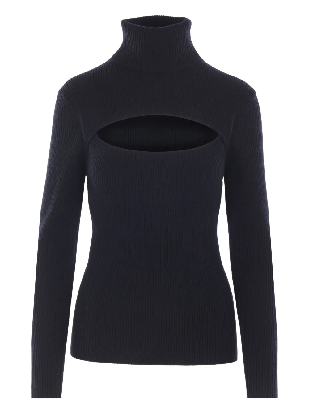Allude ribbed turtleneck sweater | Black | Image 1